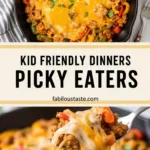 Kid Friendly Dinners Picky Eaters